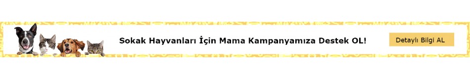 Masa